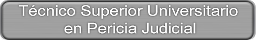 Seguridad Privada